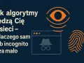Jak algorytmy śledzą Cię w sieci – dlaczego sam tryb incognito to za mało. Grafika przedstawia oko, okno przeglądarki z symbolem detektywa i odcisk palca.