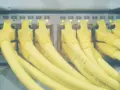 Żółte kable sieciowe podłączone do portów serwera. Zielone i pomarańczowe diody sygnalizują aktywność, a numery portów od 24 do 42 wskazują, które hosts windows są podłączone.