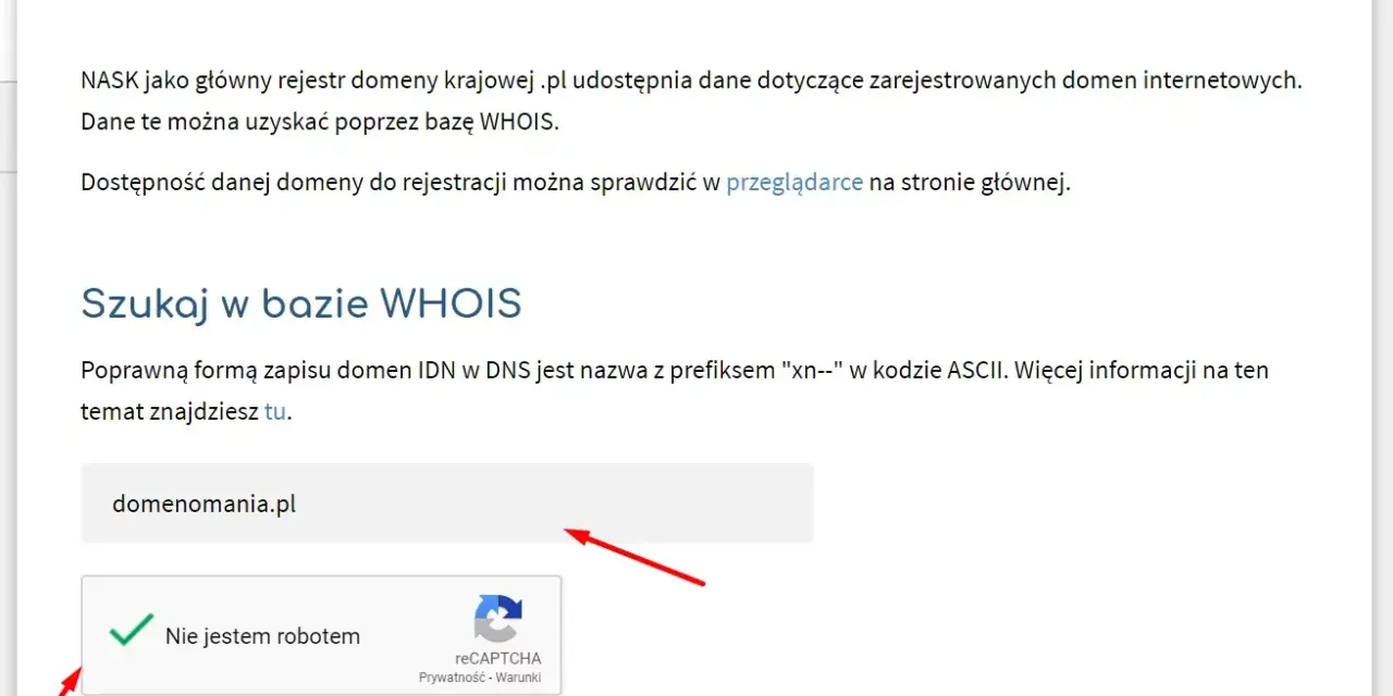 Szukaj informacji o domenach w bazie WHOIS. Wpisz nazwę domeny, np. domenomania.pl, zaznacz "Nie jestem robotem" i kliknij "Szukaj w bazie WHOIS".