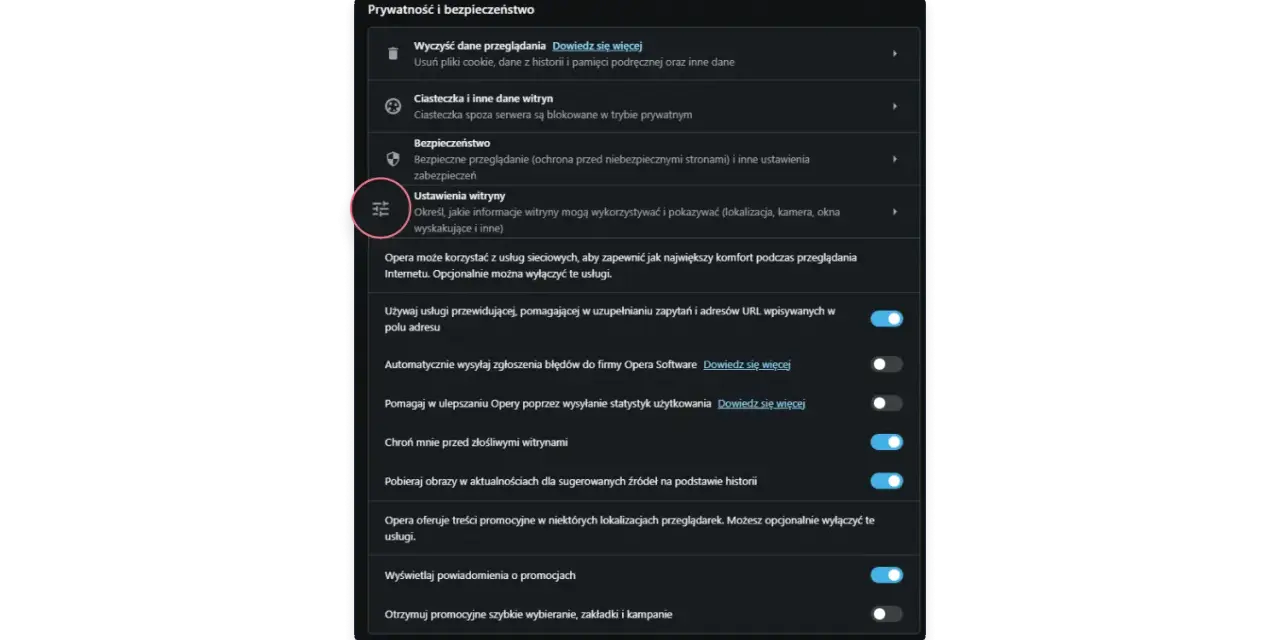 Ustawienia prywatności Opery. Możesz tu wyczyścić pliki cookies, dane przeglądania i zarządzać innymi ustawieniami.