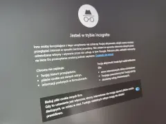 Ekran Chrome w trybie incognito. Informuje, że przeglądanie jest prywatne, ale nie jak sprawdzić historię incognito Chrome.