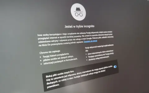 Ekran Chrome w trybie incognito. Informuje, że przeglądanie jest prywatne, ale nie jak sprawdzić historię incognito Chrome.