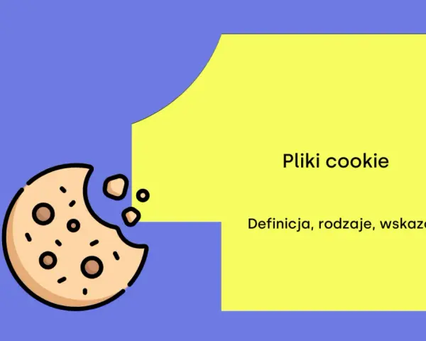 Czy pliki cookies są niebezpieczne? Grafika przedstawia ugryzionego ciasteczko i tekst: "Pliki cookie. Definicja, rodzaje, wskazówki".