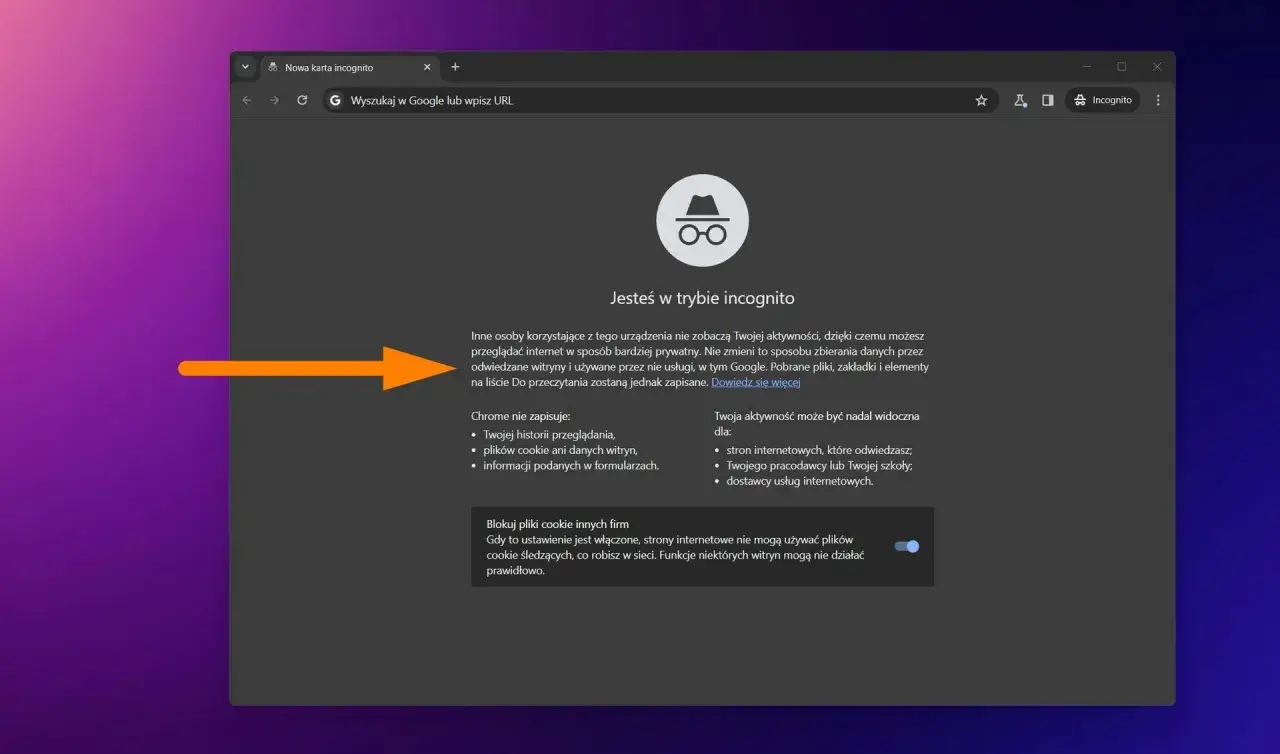 Ekran trybu incognito w Chrome. Informuje, że przeglądanie jest prywatne, ale nie jak sprawdzić historię incognito Chrome.