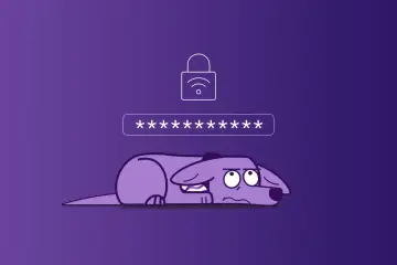 Smutny piesek leży pod polem z gwiazdkami, symbolizując trudności z hasłem. Klucz zabezpieczeń sieciowych jest niedostępny.